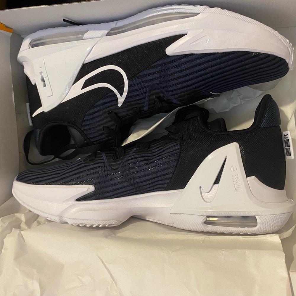 Lebron witness vi